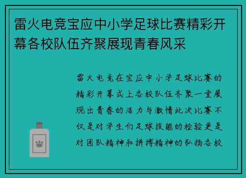 雷火电竞宝应中小学足球比赛精彩开幕各校队伍齐聚展现青春风采